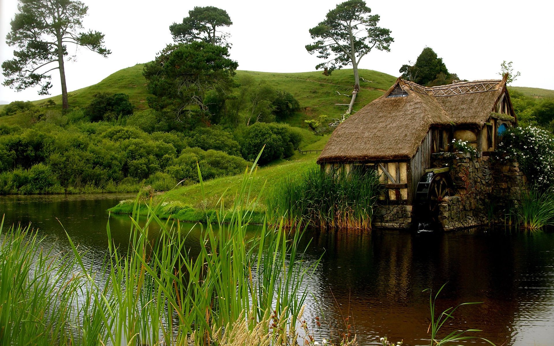 flüsse teiche und bäche teiche und bäche wasser haus natur see holz fluss landschaft gras reisen hütte ländlich bungalow reflexion pool aus holz traditionell holz land sommer