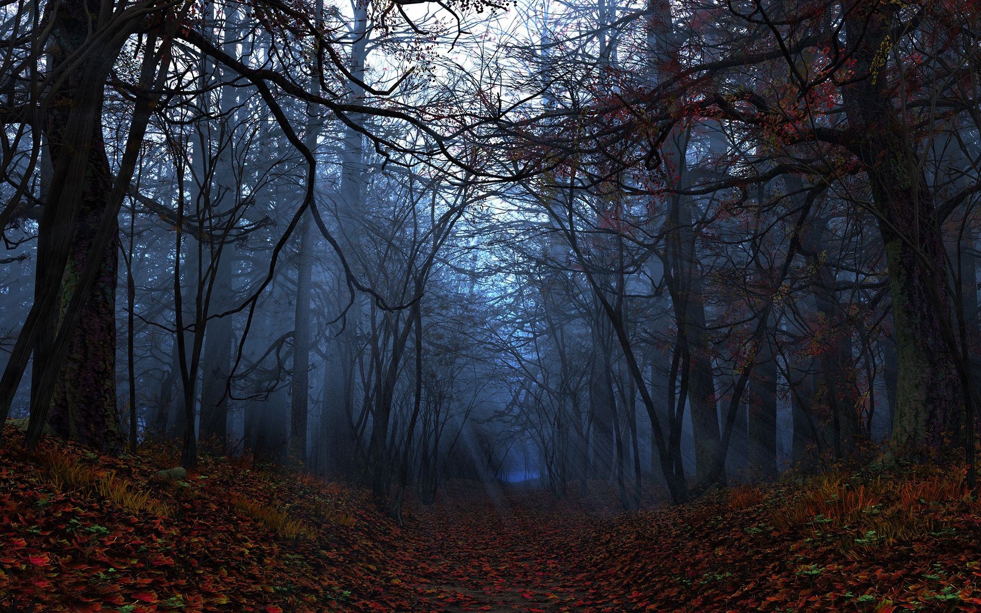 autunno albero autunno paesaggio nebbia legno alba nebbia parco ramo foglia luce illuminato meteo natura scenico inverno ambiente bel tempo stagione