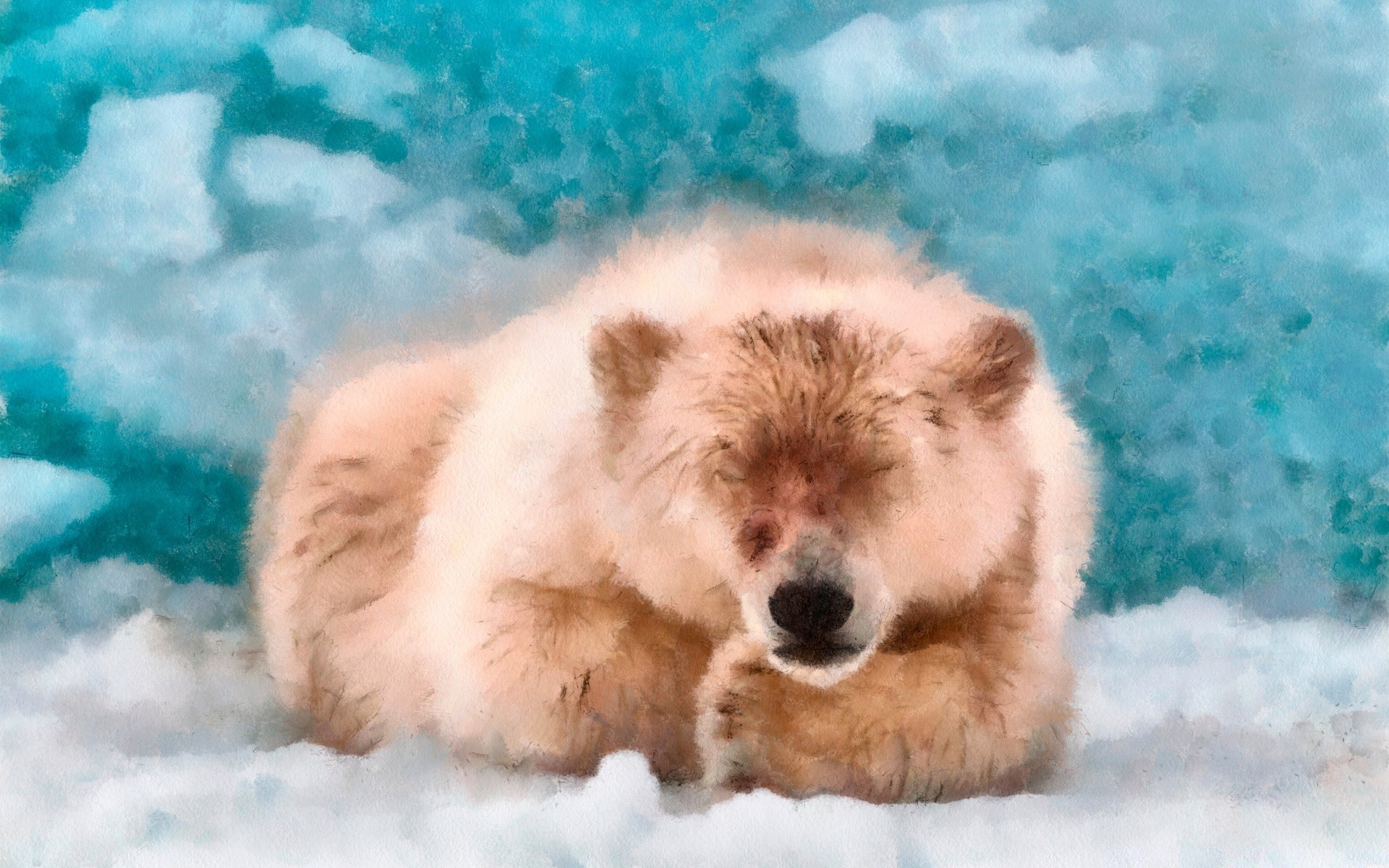 rysunki śnieg zima ssak na zewnątrz zimno portret natura dół pies mroźny jeden