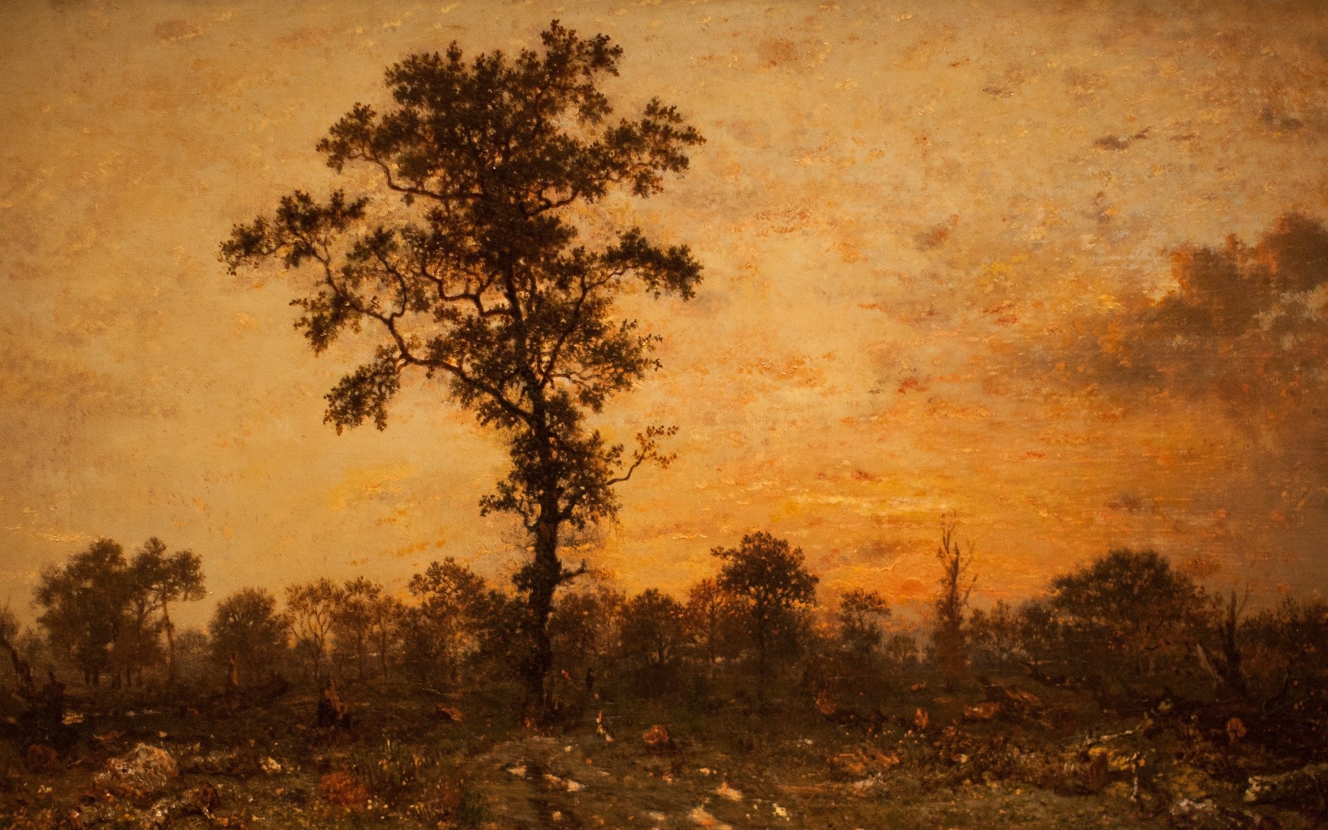 zeichnungen baum landschaft herbst natur im freien holz morgendämmerung medium hintergrundbeleuchtung boden sonnenuntergang