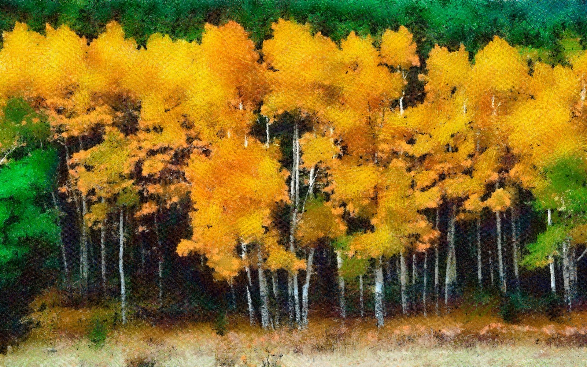 zeichnungen herbst baum blatt saison natur landschaft holz flora im freien farbe park hell gold umwelt zweig landschaftlich