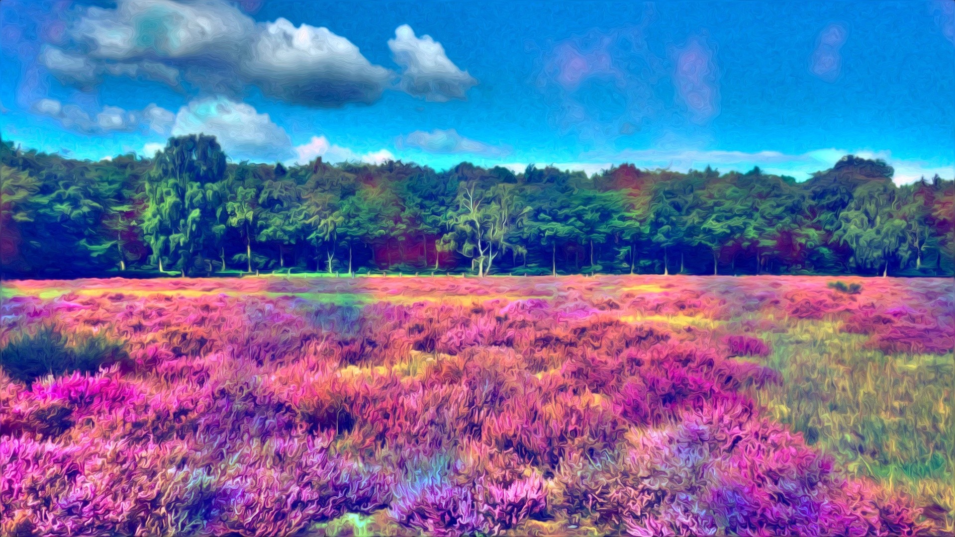 drawings landscape nature field flower color outdoors sunset hayfield sky grassland bright dawn scenic beautiful rural summer desktop vibrant flora