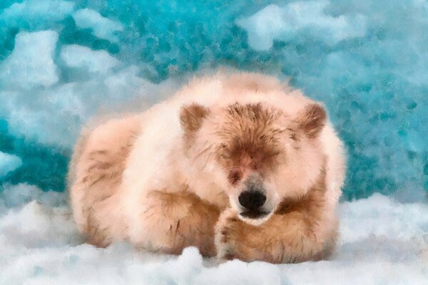 Urso polar dorme DAP aquarela