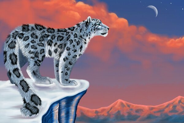 Snow leopard conqueror of the mountains