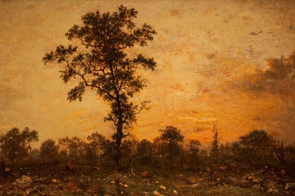 Autumn landscape with a tree at sunset