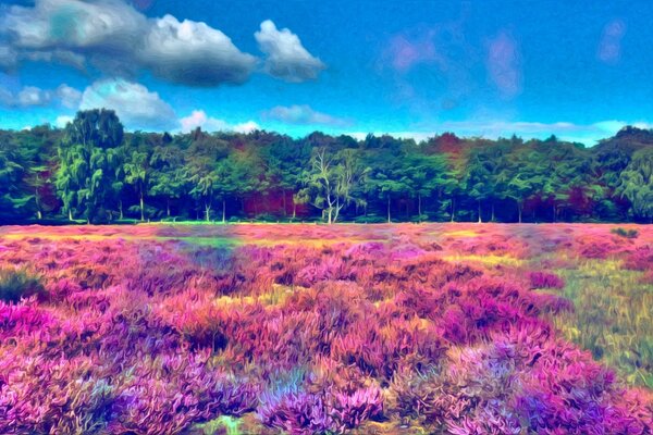 Landscape flower in a field in nature