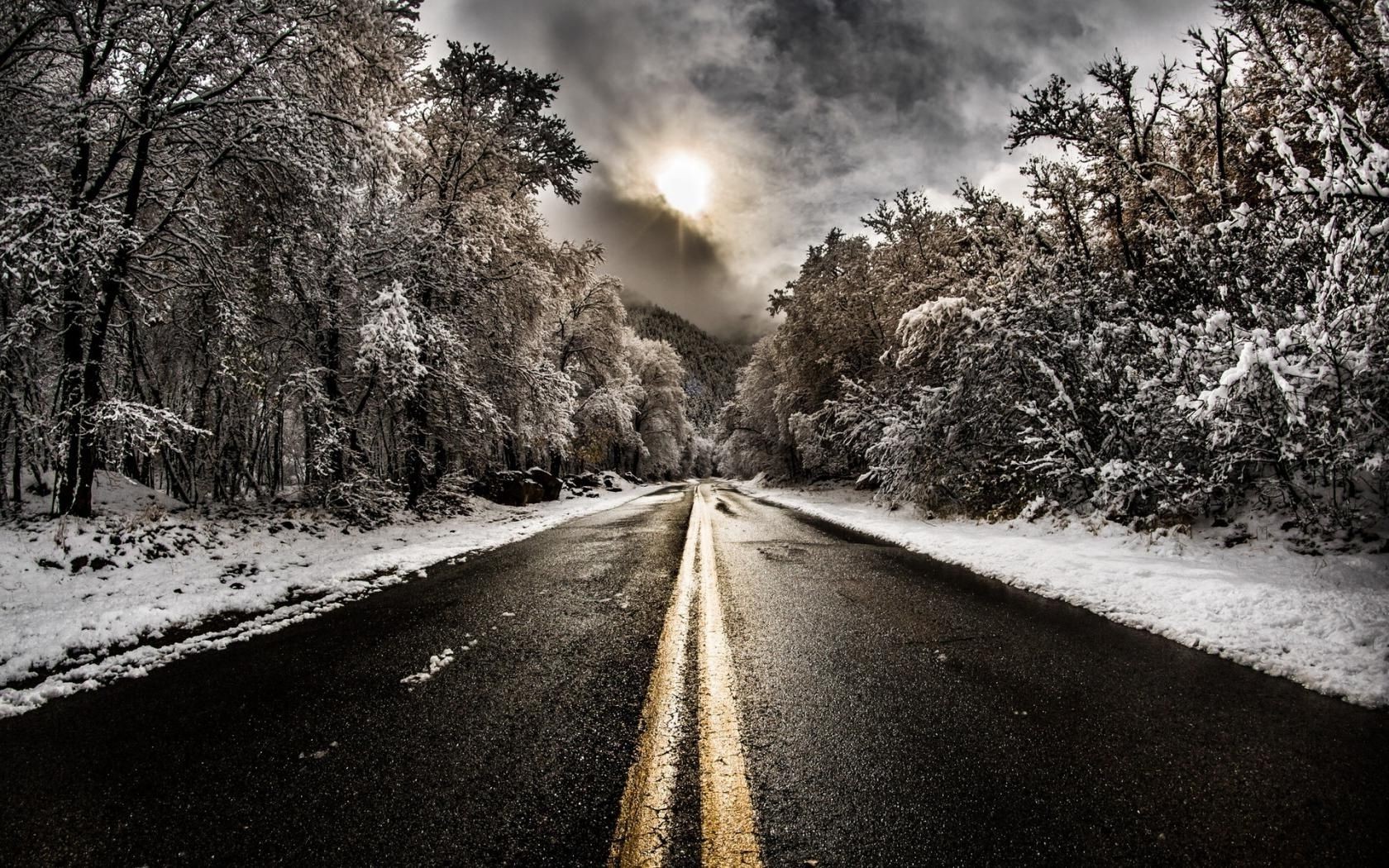 winter road tree guidance landscape snow lane wood nature street fog rural monochrome asphalt dawn frost season weather park