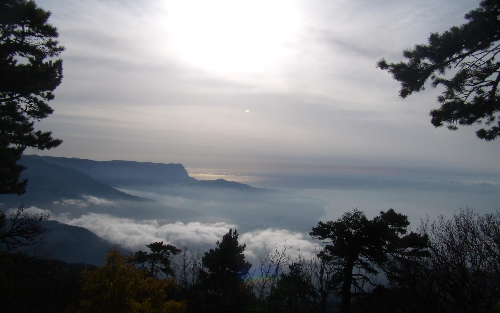 landscapes tree fog nature outdoors dawn landscape sky sunset mist sun wood travel evening mountain light