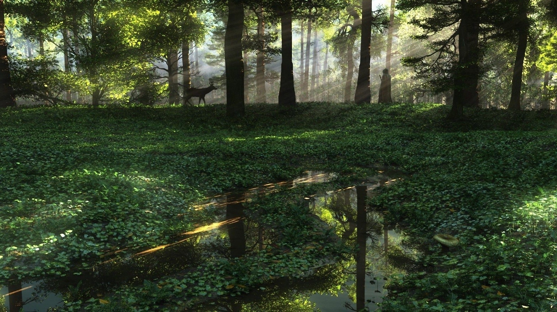 landschaft landschaft holz natur holz umwelt park im freien blatt sommer licht gras tageslicht üppig gutes wetter garten landschaftlich flora