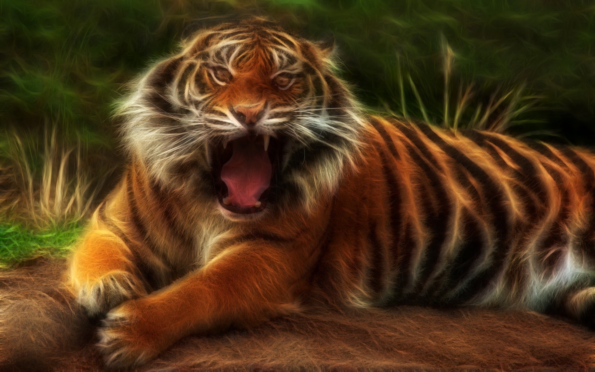 dibujos gato mamífero animal vida silvestre zoológico piel retrato tigre depredador naturaleza cazador lindo