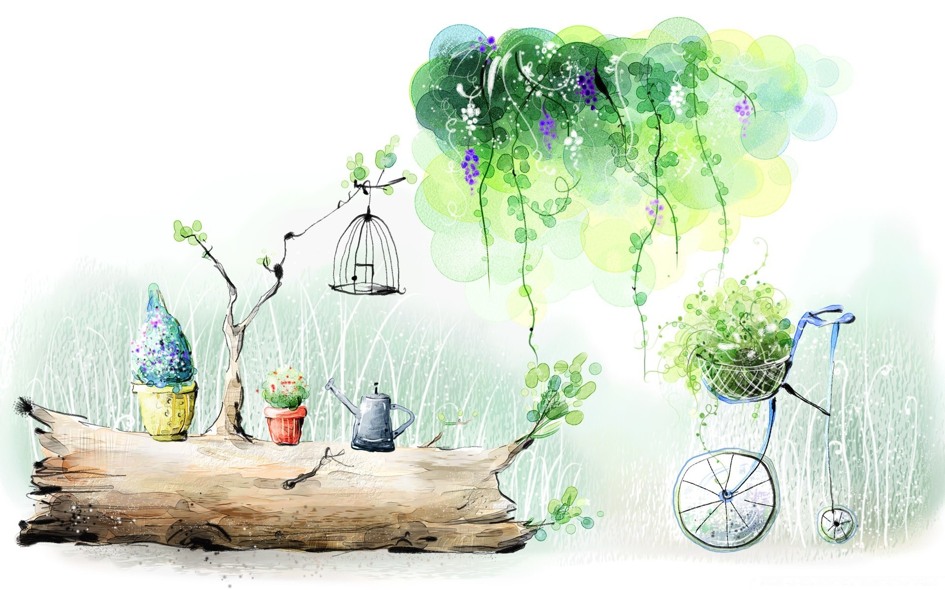 drawings leaf nature desktop summer flower