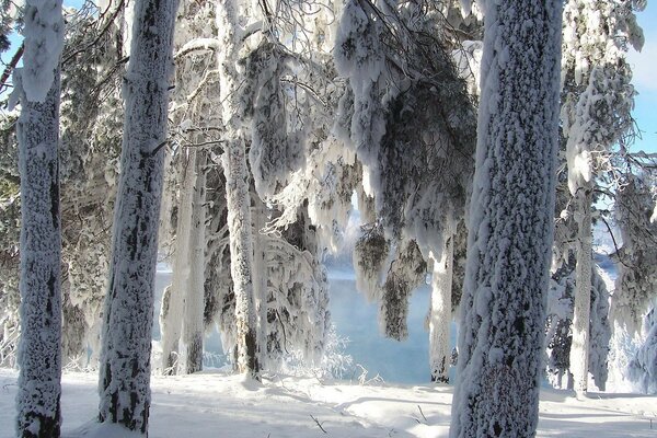 Deep winter and sunny day