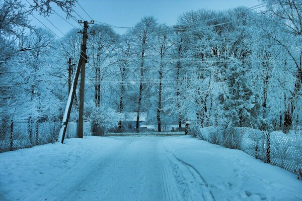 Frosty way to school in the morning