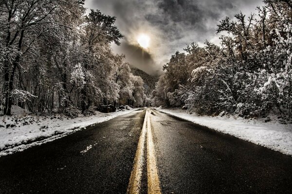 Landschaft Straße Wald Winter