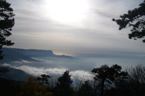 Landschaft Bäume im Nebel des Berges grauer Himmel