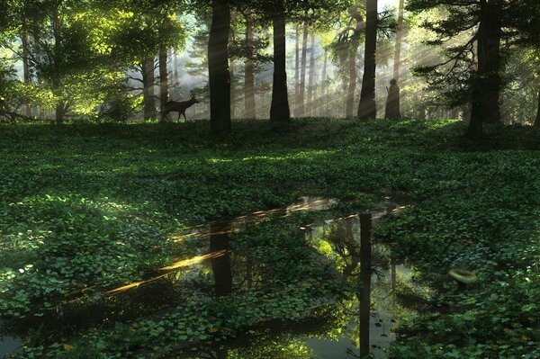 Kunst Pfützen Wald Reh Sonnenstrahlen Mensch Natur