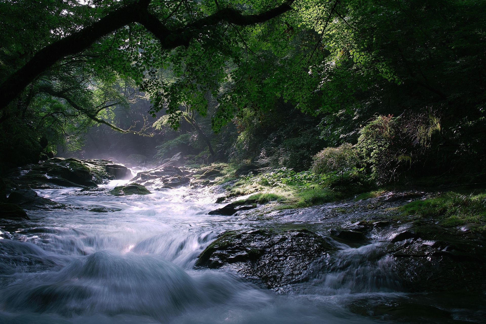 flüsse teiche und bäche teiche und bäche wasser fluss wasserfall natur landschaft holz fluss holz im freien reisen herbst regen moos rock blatt fluss bewegung