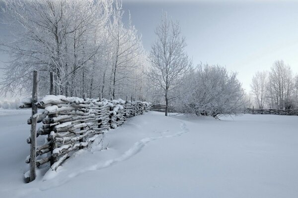 Schneereicher Frost gefrorener Winter