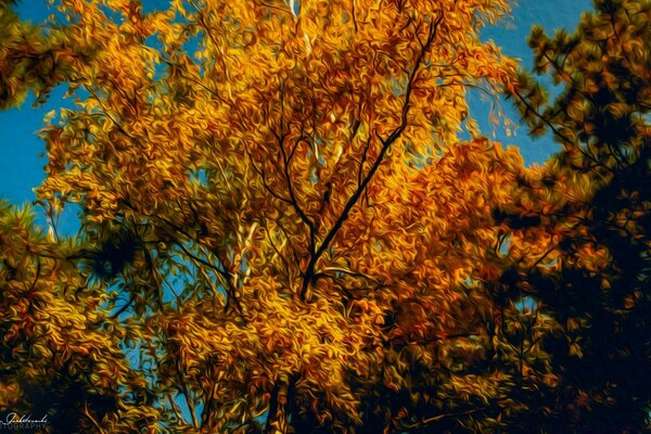 Foto eines Herbstbaums mit goldenen Blättern