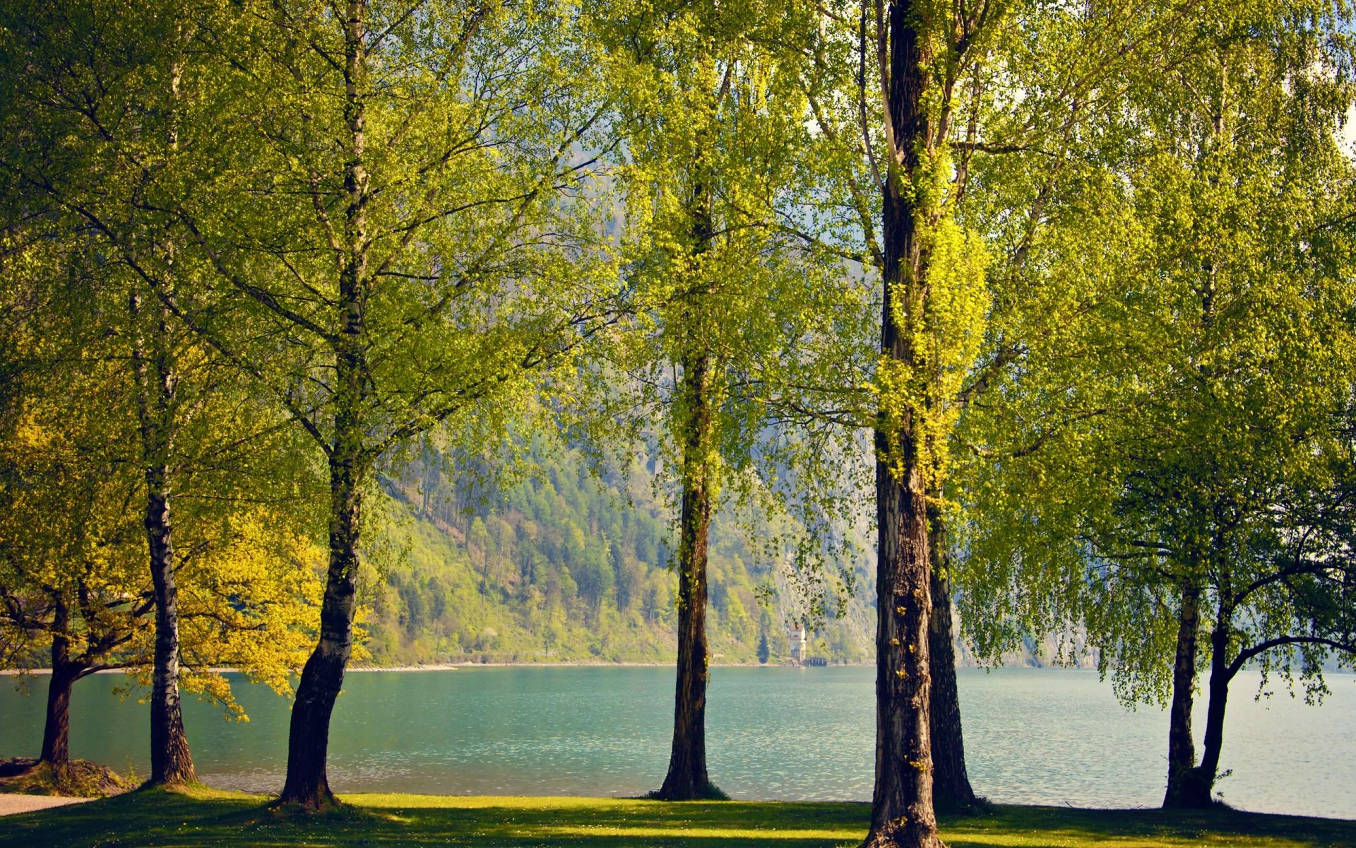 lugares famosos árbol paisaje otoño hoja parque madera naturaleza escénico temporada amanecer paisaje buen tiempo al aire libre rama escena medio ambiente brillante campo sol