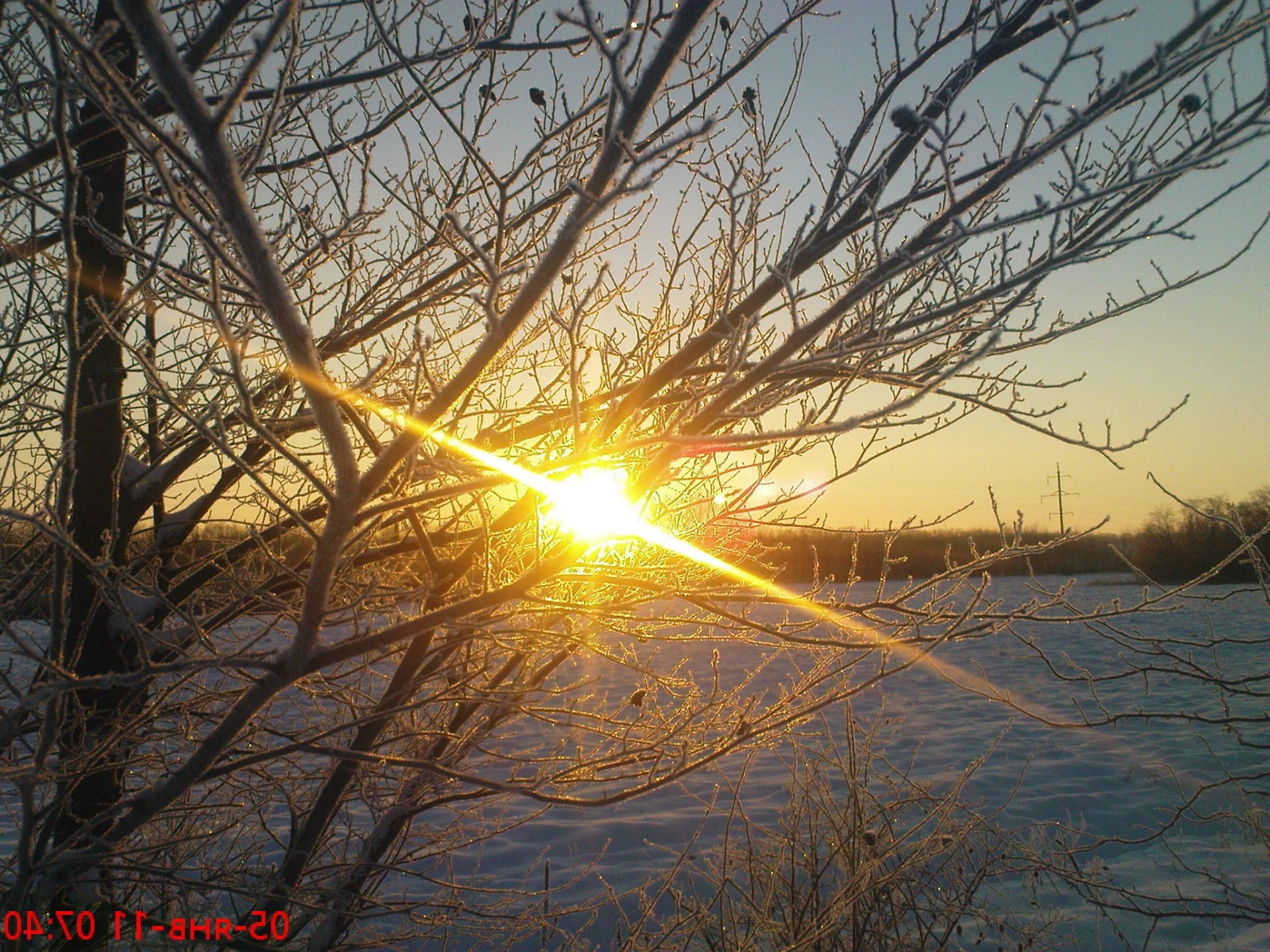 winter dämmerung sonne natur gutes wetter hell holz sonnenuntergang im freien holz am abend schnee herbst kälte wetter landschaft licht himmel frost