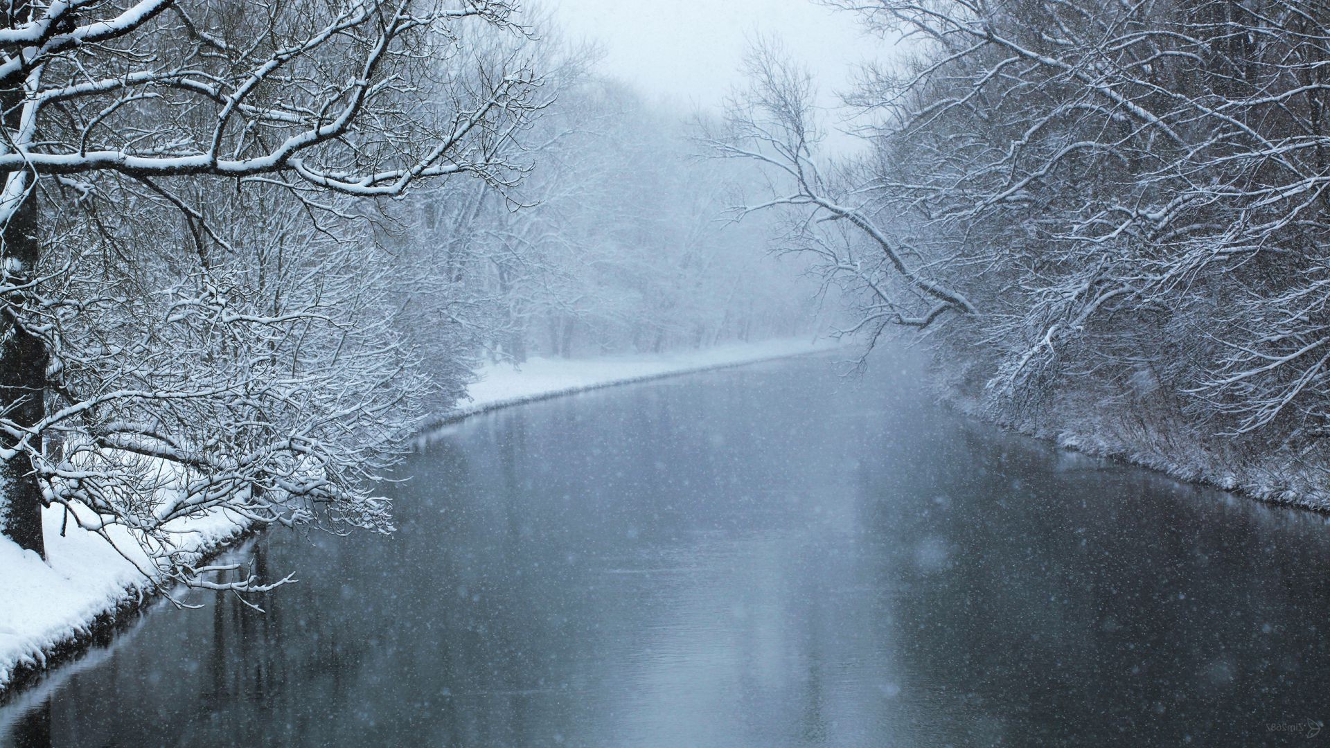 rivières étangs et ruisseaux étangs et ruisseaux hiver neige brouillard météo gel brouillard froid paysage congelés bois nature glace bois saison à l extérieur eau tempête bureau