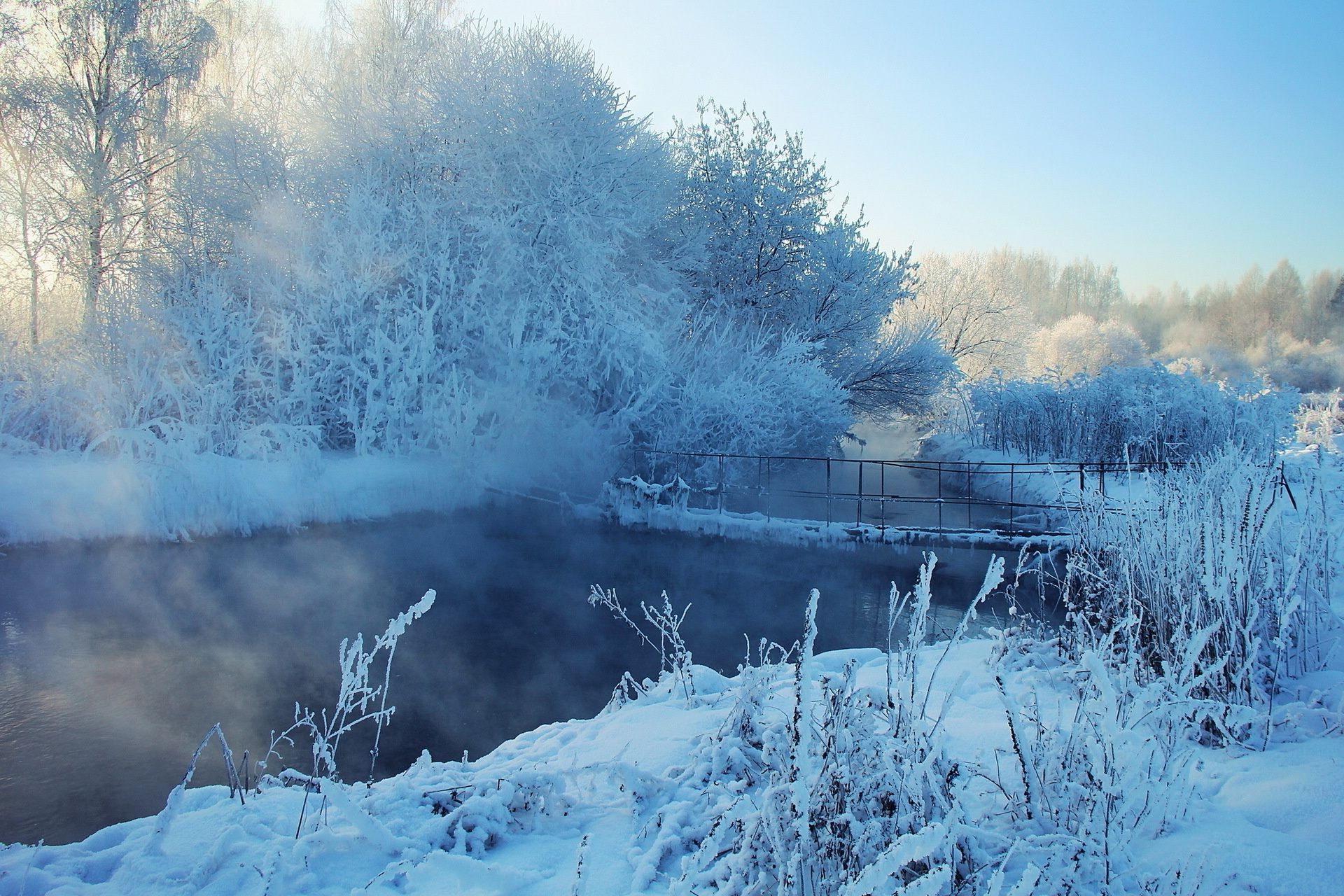 rivers ponds and streams winter snow cold frost ice frozen landscape fog weather tree wood frosty dawn mist nature scenic season