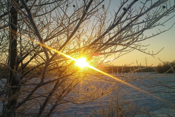 Amanecer soleado naturaleza de invierno