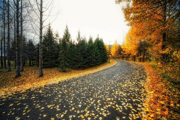 L heure d automne, les yeux enchantés