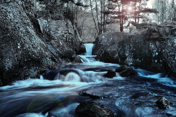 Reden und ein Wasserfall im Wald