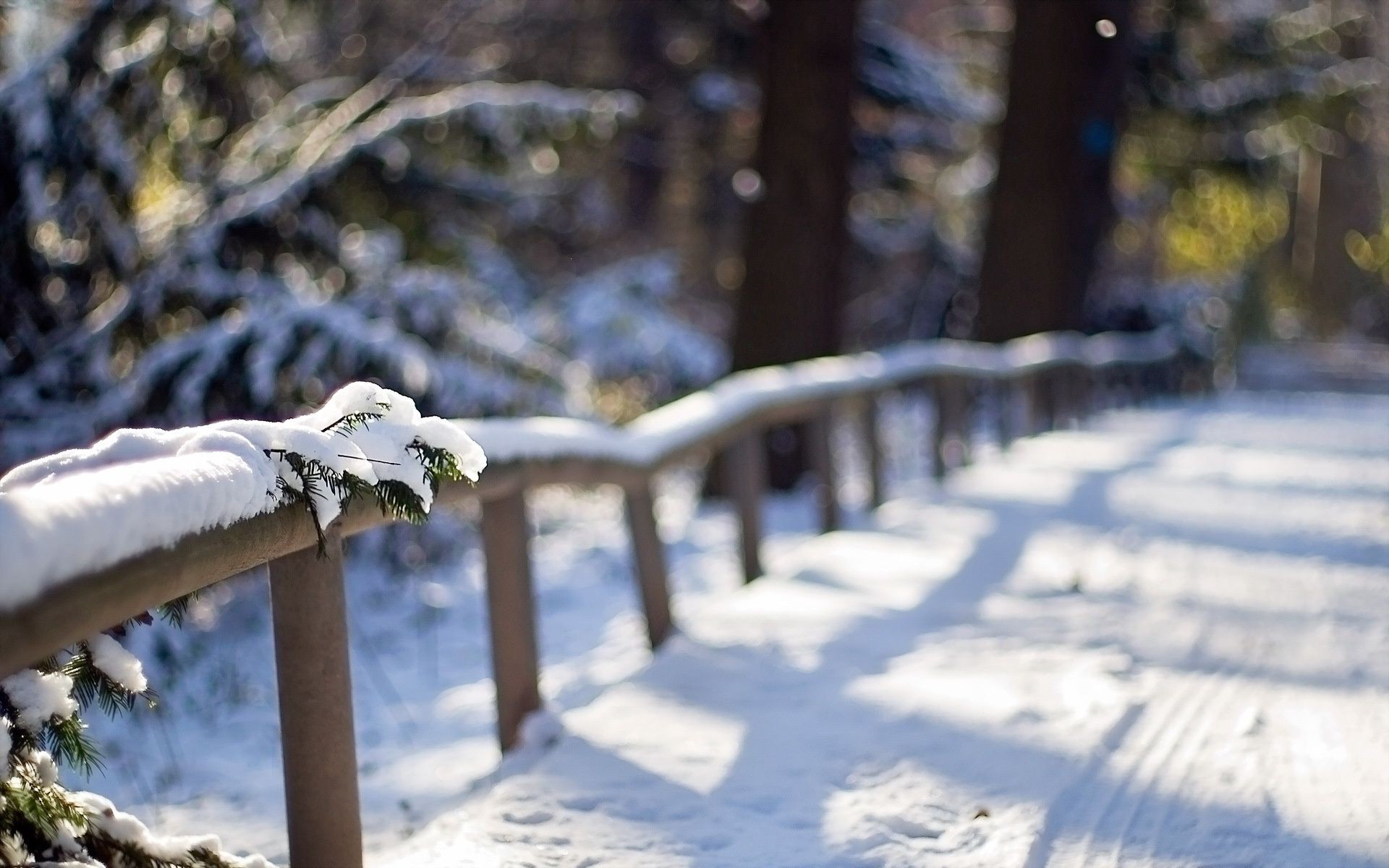 kış kar soğuk doğa ahşap açık havada ağaç manzara buz seyahat frost sonbahar sezon park