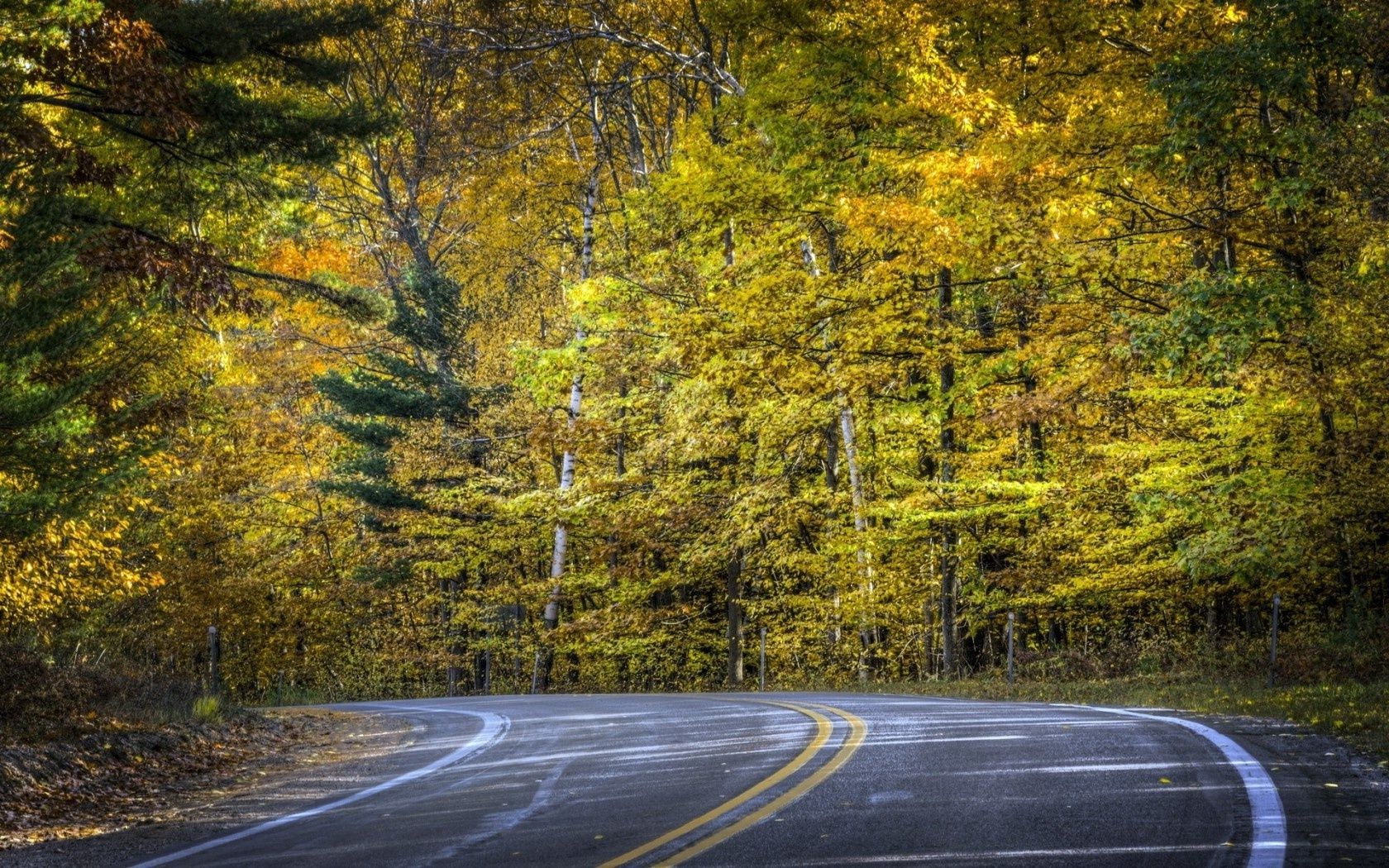 road fall tree wood leaf guidance landscape nature outdoors lane scenic park asphalt countryside highway season environment rural perspective