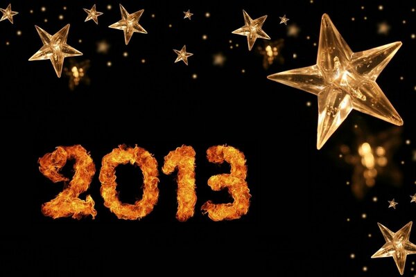 Emblem for the new year 2013