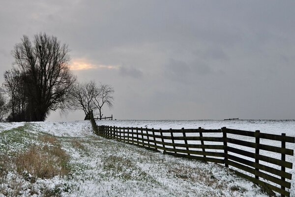 Winter graue Bäume Feld Zaun Himmel Frost