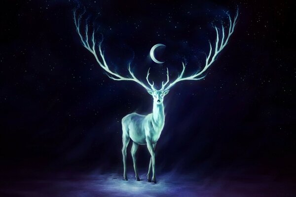 Cerf avec des cornes ramifiées sous la lune