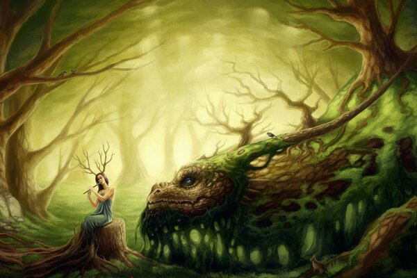 Fantasy, forest fairy with a dragon