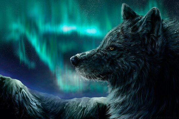 Drawing of a wolf on the background of the Northern lights