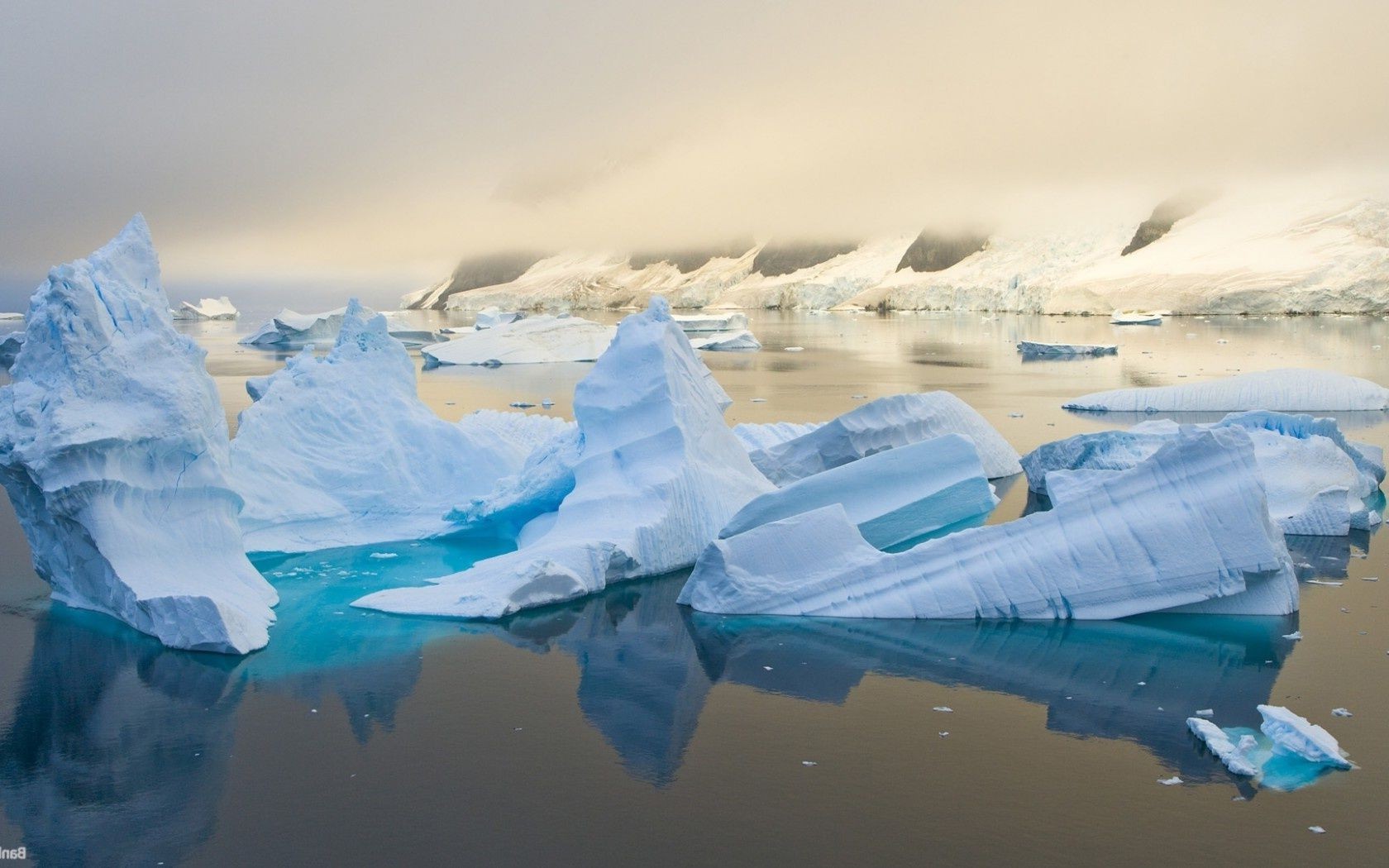 see eisberg frostig eis wasser schwimmen reisen klimawandel schmelzen schnee gletscher kälte ozean winter meer grönland