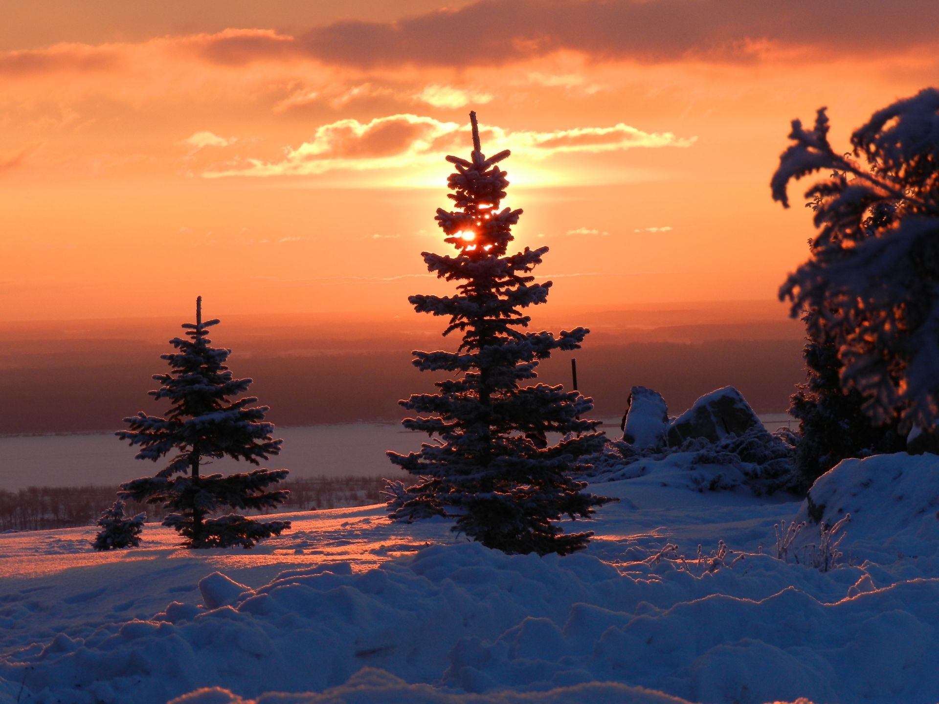 invierno nieve árbol amanecer atardecer evergreen paisaje noche navidad pino