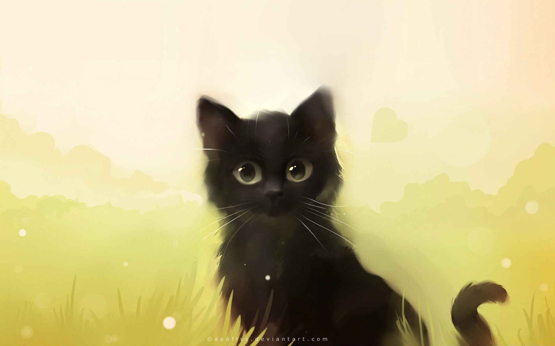 fantasy cat cute animal pet eye portrait kitten mammal fur