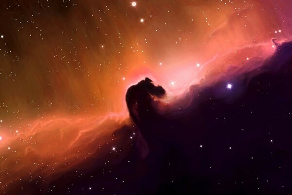 Cosmos art horse head stars nebula