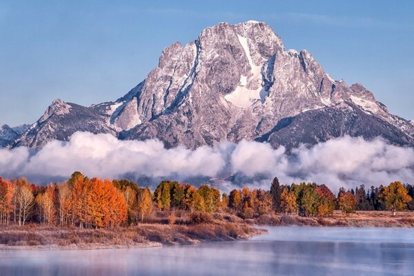 Autumn bright forest at the foot of the misty mountain