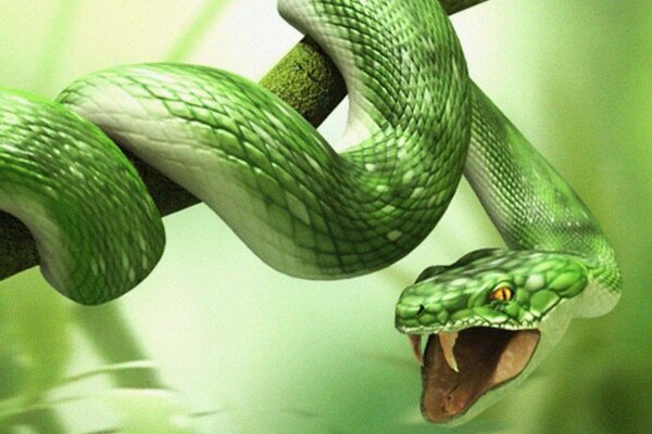 Serpiente verde con colmillos venenosos largos