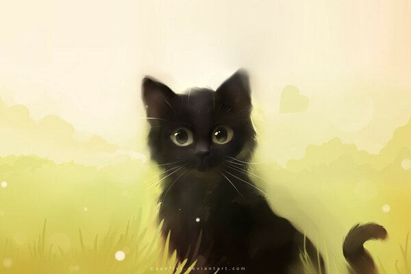 القط الأسود في العشب الأخضر