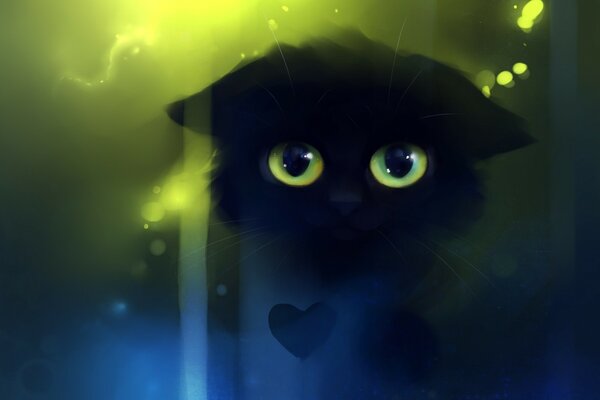 Büyük yeşil gözlü siyah kedi yavrusu