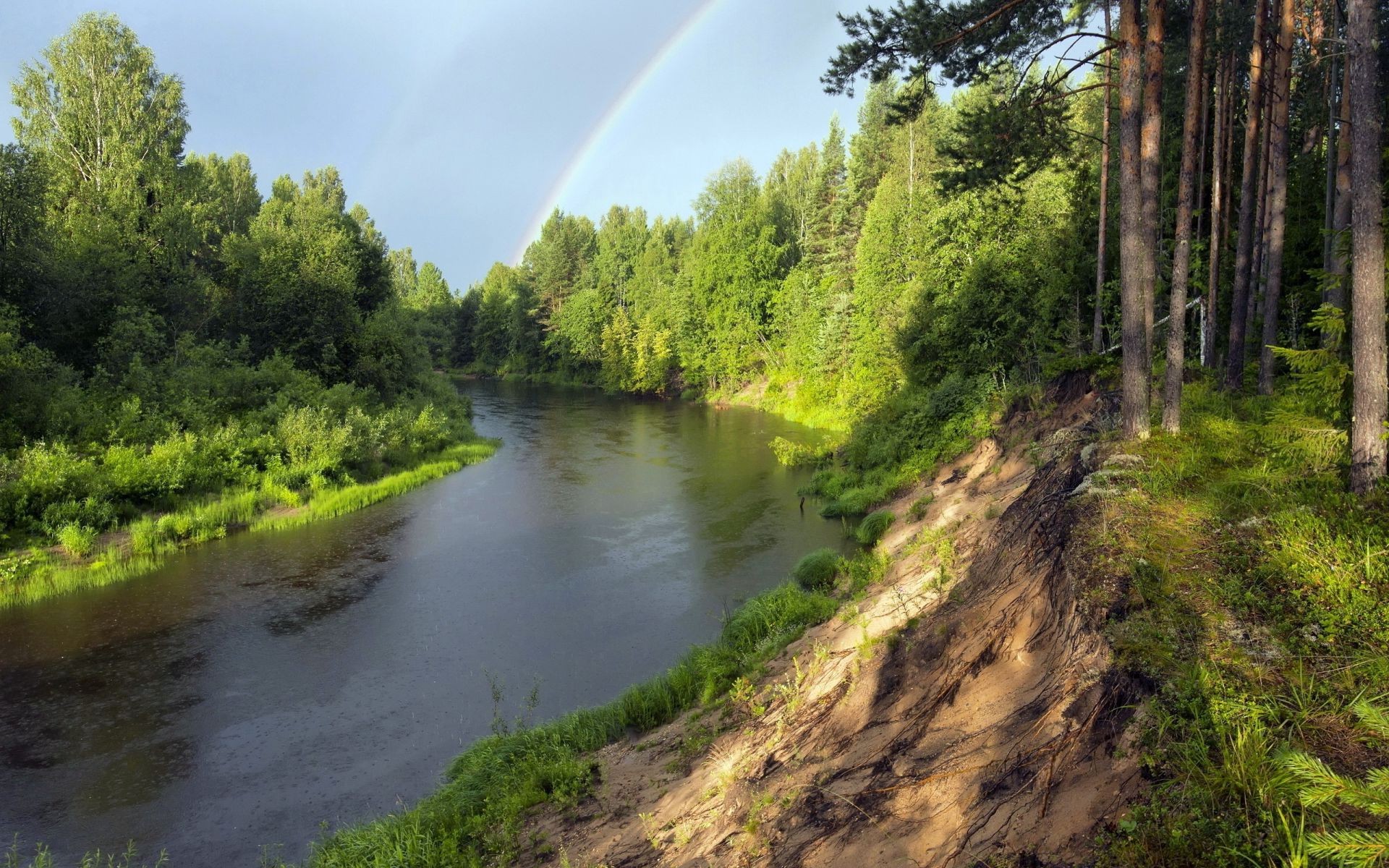 arc-en-ciel bois nature eau paysage arbre rivière à l extérieur voyage été scénique ciel environnement feuille herbe lac parc