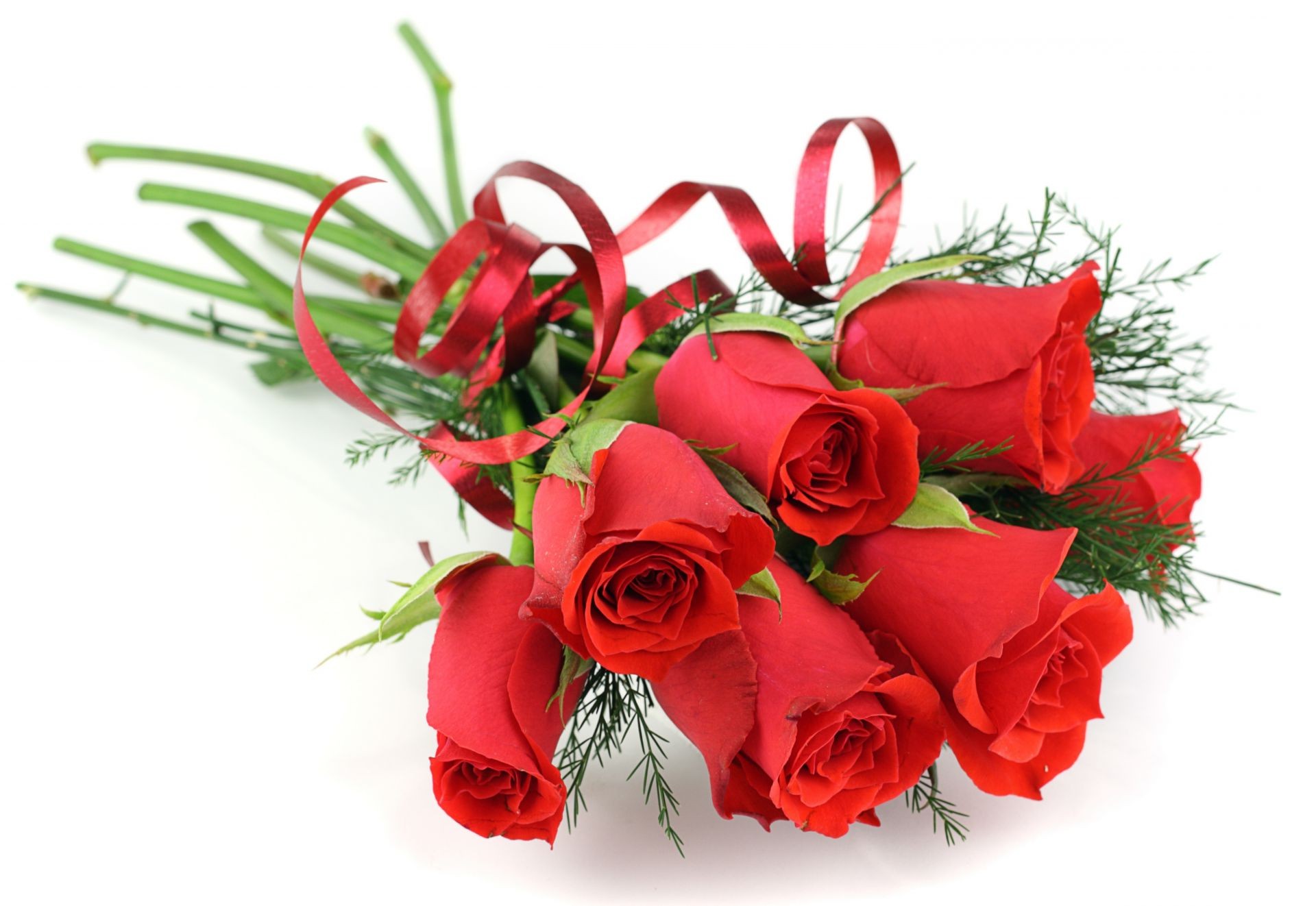 rosas presente feriado decoração amor buquê romance saudação isolado natal aniversário aniversário romântico folha natureza