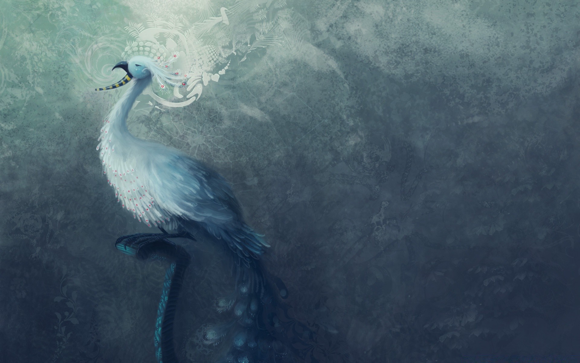 fantasy water nature sea ocean underwater bird outdoors wildlife desktop