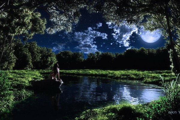 A beautiful summer moonlit evening