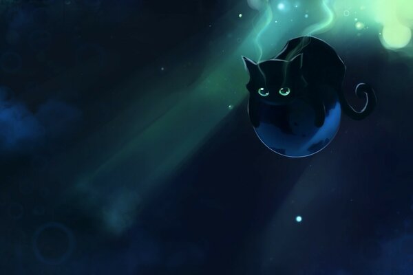 Black cat in the moonlight